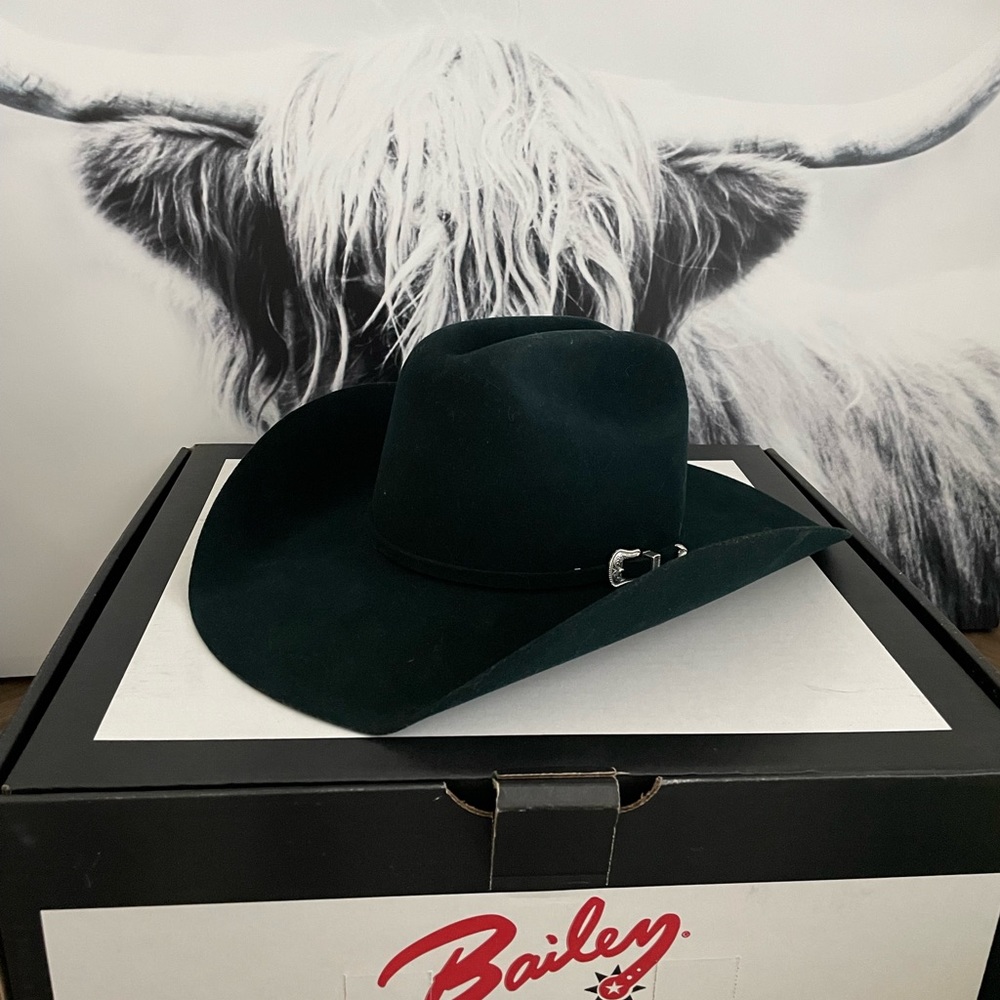 Felt Cowboy hat